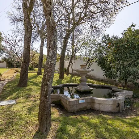 بيت ضيافة Quinta Fonte Cova - Minho's Guest براغا